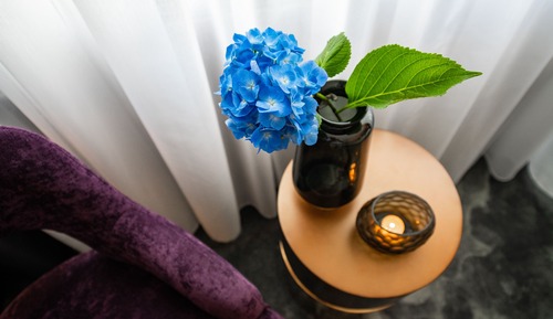 Junior Suite, Balcony