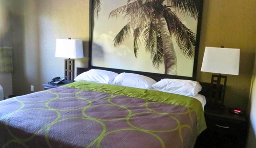 Room, 1 King Bed