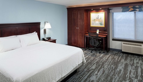 Room, 1 King Bed with Sofa bed, Refrigerator & Microwave