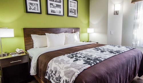 Standard Room, 1 King Bed, Non Smoking
