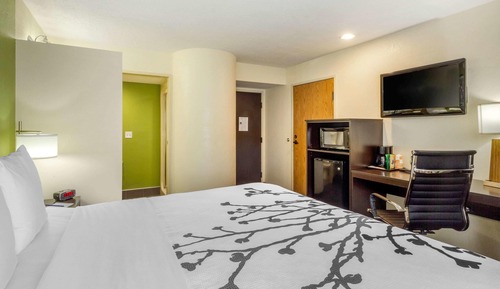 Room, 1 King Bed, Non Smoking (Efficiency Accessible)