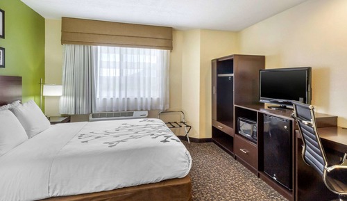 Standard Room, 1 Queen Bed, Non Smoking