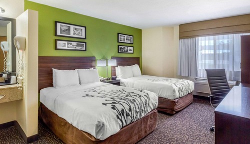 Standard Double Room, 2 Double Beds, Non Smoking