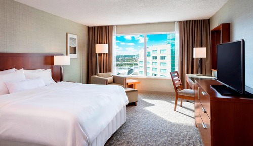 Traditional Room, 1 King Bed (Mobility Accessible, Roll-In Shower)