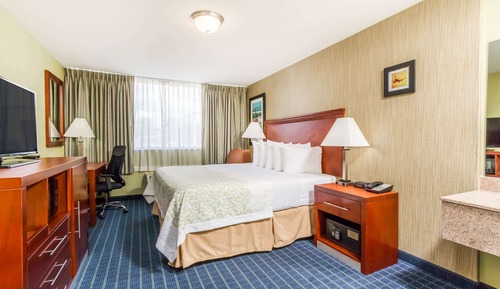 Business Room, 1 King Bed