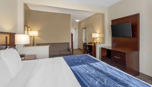 Suite, 1 King Bed with Sofa bed, Accessible, Non Smoking