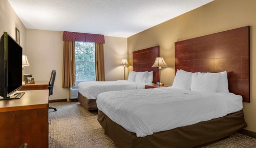 Standard Room, 2 Double Beds, Non Smoking