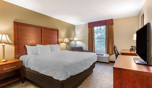 Room, 1 King Bed, Non Smoking