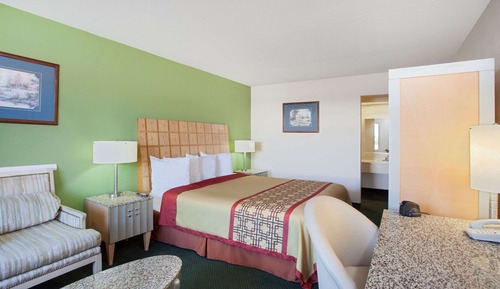 Room, 1 King Bed, Smoking