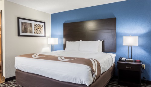 Room, 1 King Bed, Non Smoking (Pet Friendly)