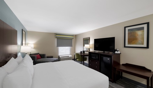Room, 1 King Bed, Accessible, Non Smoking