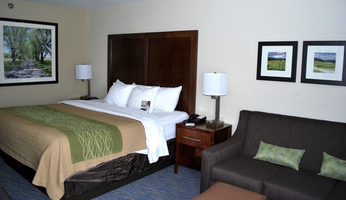 Standard Room, 1 King Bed, Non Smoking