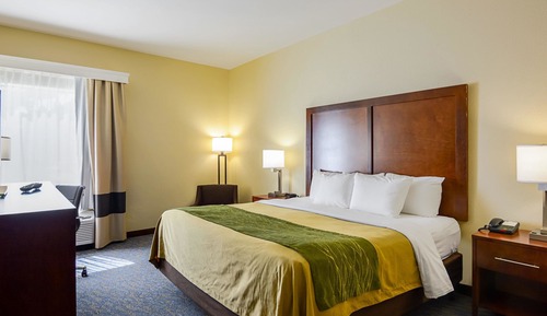 Room, 1 King Bed, Accessible, Non Smoking (Roll-In Shower)