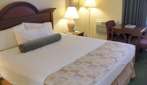 Room, 1 King Bed, Non Smoking, Pool View