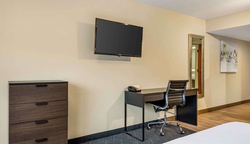 Standard Studio, 1 King Bed, Accessible Bathtub, Non Smoking