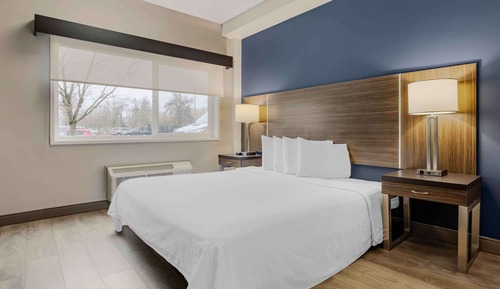 Standard Studio, 1 King Bed, Non Smoking, Refrigerator & Microwave