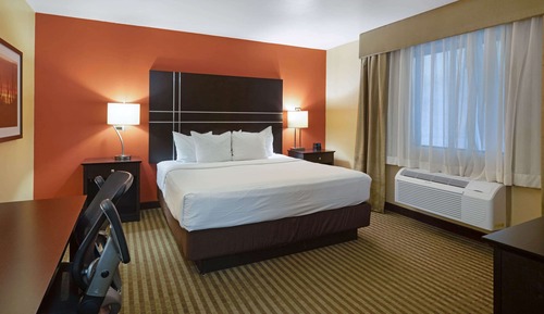 Executive Room, 1 King Bed, Non Smoking, Pool View-VIEW ONLY