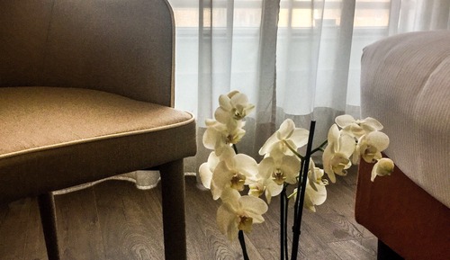 Superior Room, 2 Twin Beds