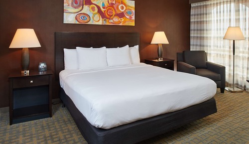 Room, 1 King Bed, Non Smoking