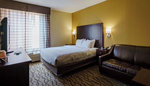 Standard Room, 1 King Bed with Sofa bed, Non Smoking, Jetted Tub