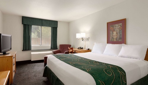 Room, 1 King Bed, Non Smoking