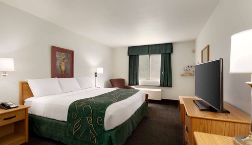 Room, 1 King Bed, Accessible, Non Smoking