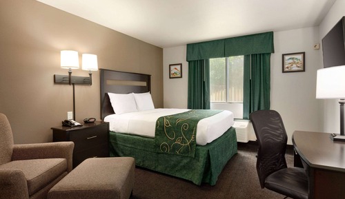 Room, 1 Queen Bed, Non Smoking