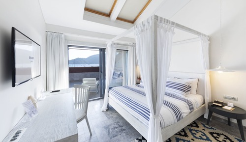 Superior Suite