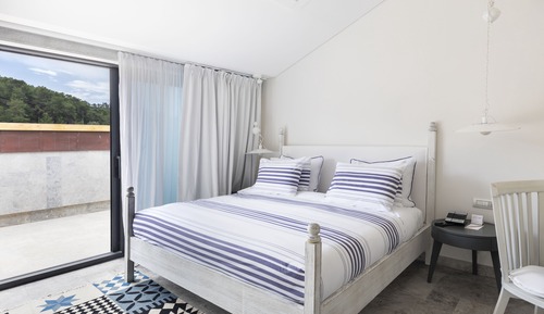 Attic Suite Terrace