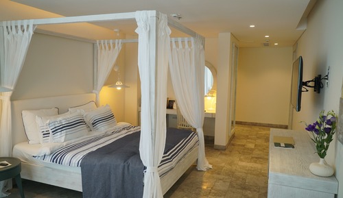 Deluxe Pool Access Double Room