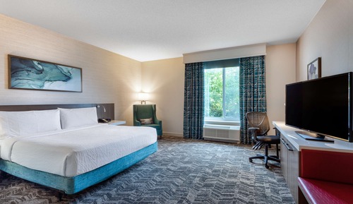 Room, 1 King Bed, Accessible, Bathtub
