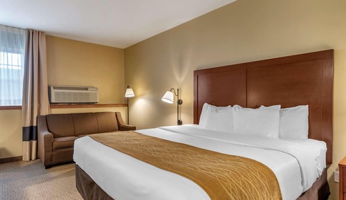 Standard Room, 1 King Bed with Sofa bed, Non Smoking