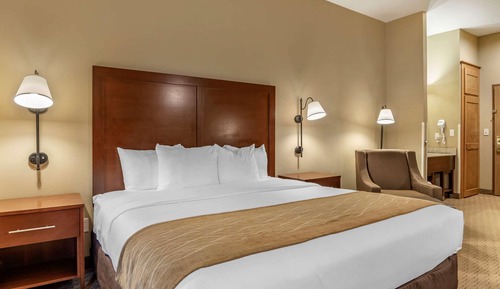 Standard Room, 1 King Bed, Non Smoking