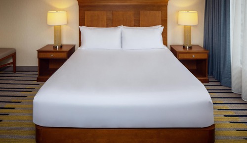 Deluxe Room, 1 King Bed with Sofa bed