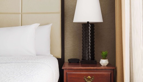 1-bedroom Suite w/sofabed