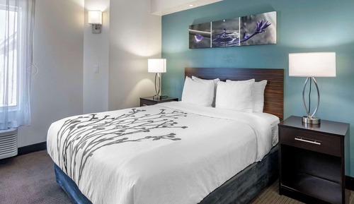 Room, 1 Queen Bed, Accessible, Non Smoking