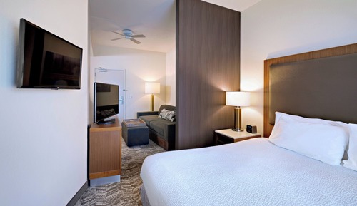 Suite, 1 King Bed with Sofa bed (Hearing Accessible)