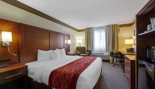 Room, 1 King Bed, Accessible, Non Smoking