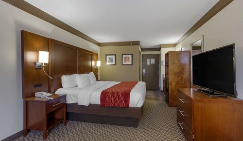 Standard Room, 1 King Bed, Non Smoking