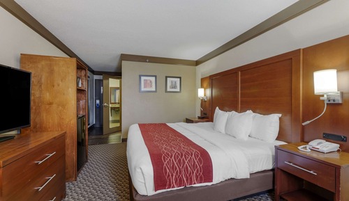 Room, 1 King Bed, Accessible, Non Smoking