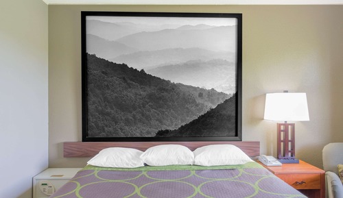 Room, 1 King Bed, Non Smoking