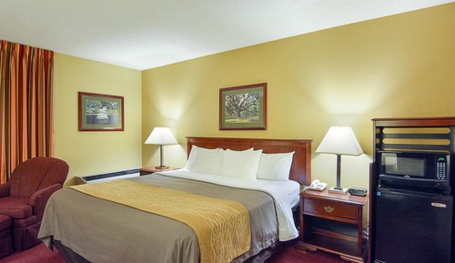 Room, 1 King Bed, Accessible, Non Smoking