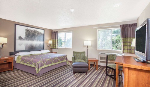 Studio Suite, 1 King Bed, Non Smoking