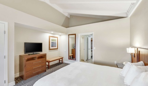 Suite, 1 King Bed, Allergy Friendly