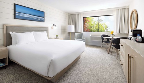 Room, 1 King Bed