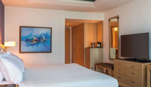 Room, 1 King Bed, Accessible (Roll-in Shower)