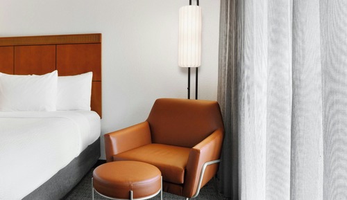 Suite, 1 King Bed with Sofa bed