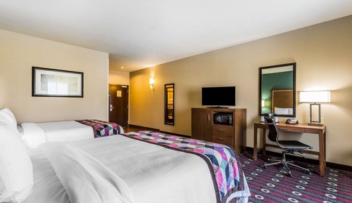 Standard Room, 1 King Bed, Non Smoking