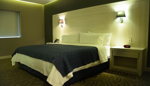 Standard Room, 1 King Bed, Accessible