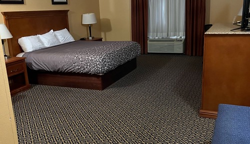 Single Room, 1 King Bed